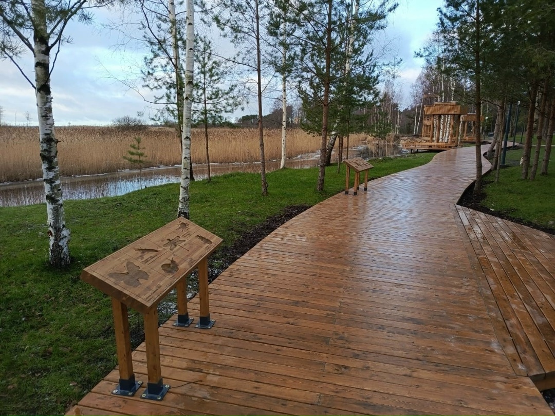 В Северо-Западном федеральном округе с 2019 года благоустроено около 9 тыс. территорий