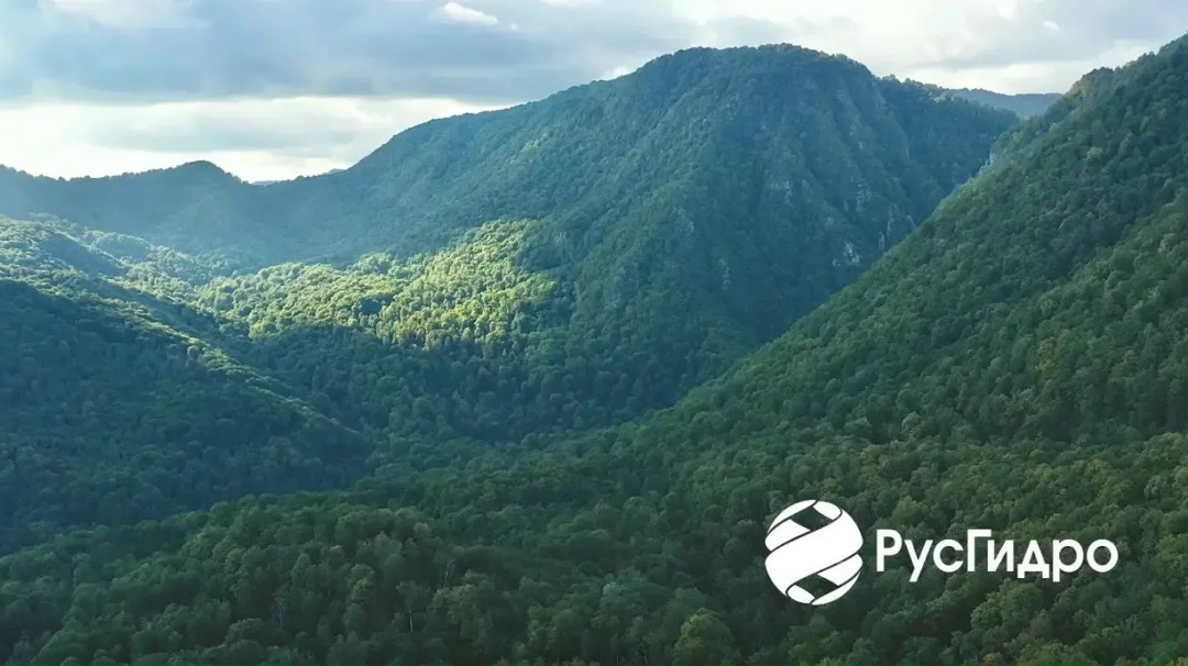 15 апреля – День экологических знаний