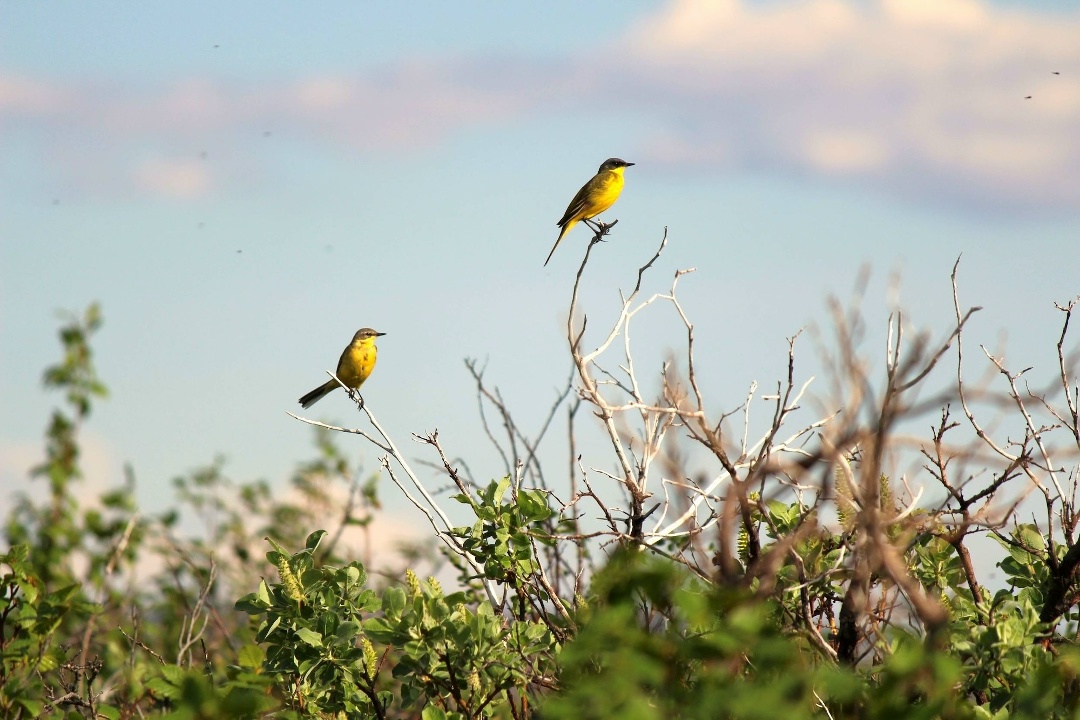 Разрушение экосистем касается каждого