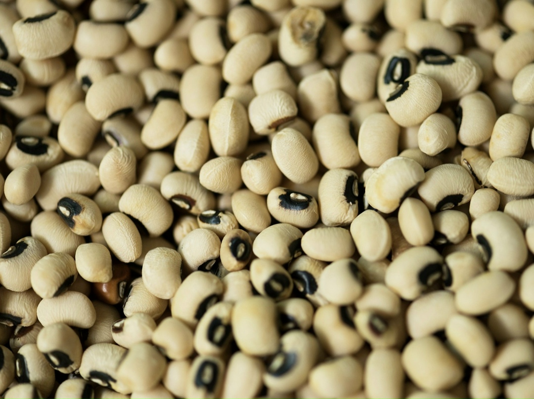 В Масложировом союзе считают, что внутренний рынок масличного сырья защищен недостаточно, и пошлины на экспорт сои и льна следует увеличить. Об этом в ходе VI…