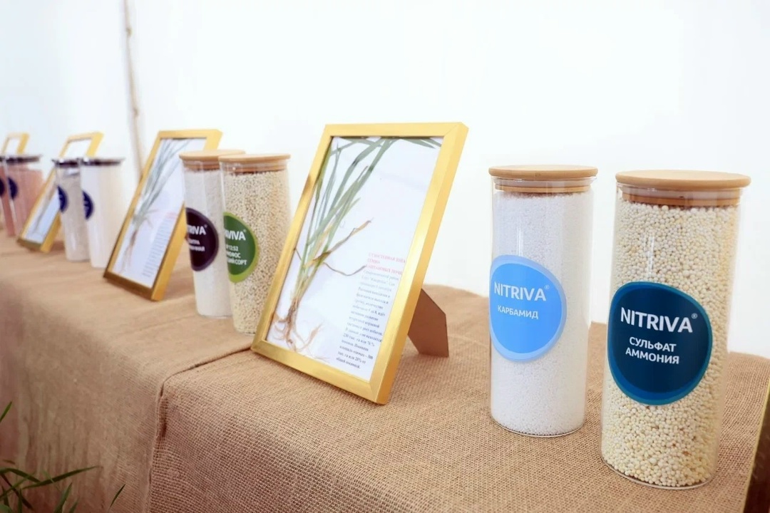 Дмитрий Патрушев провел встречу с главой Волгоградской области Андреем Бочаровым.