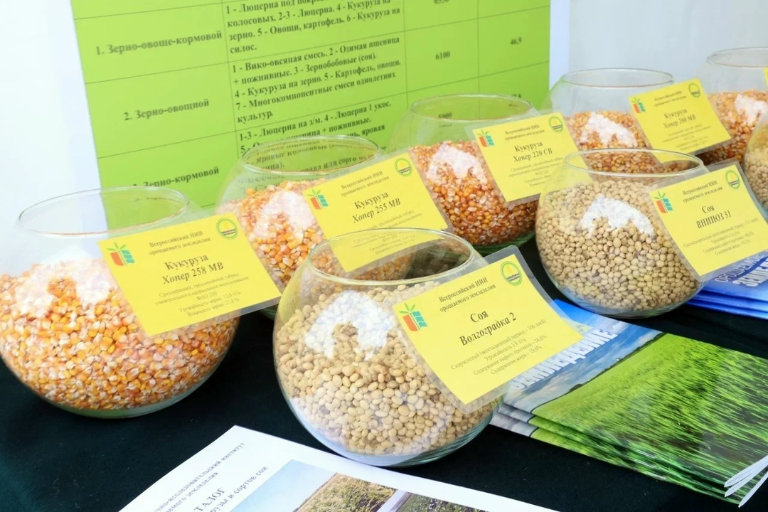 Дмитрий Патрушев провел встречу с главой Волгоградской области Андреем Бочаровым.