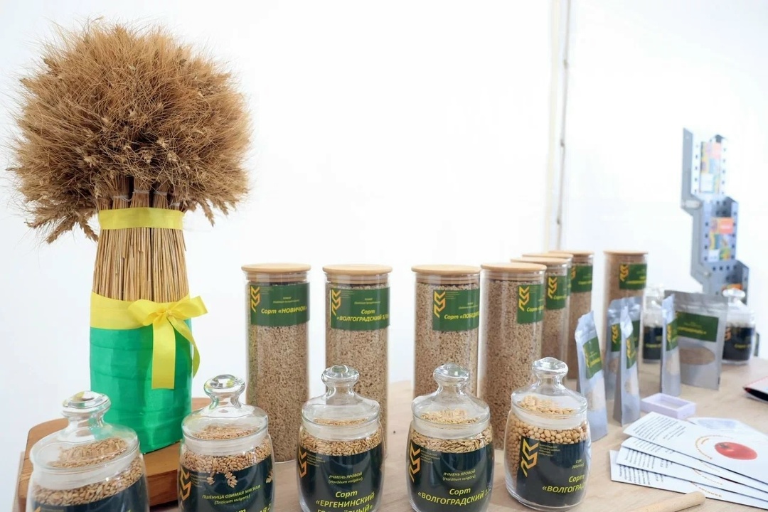 Дмитрий Патрушев провел встречу с главой Волгоградской области Андреем Бочаровым.