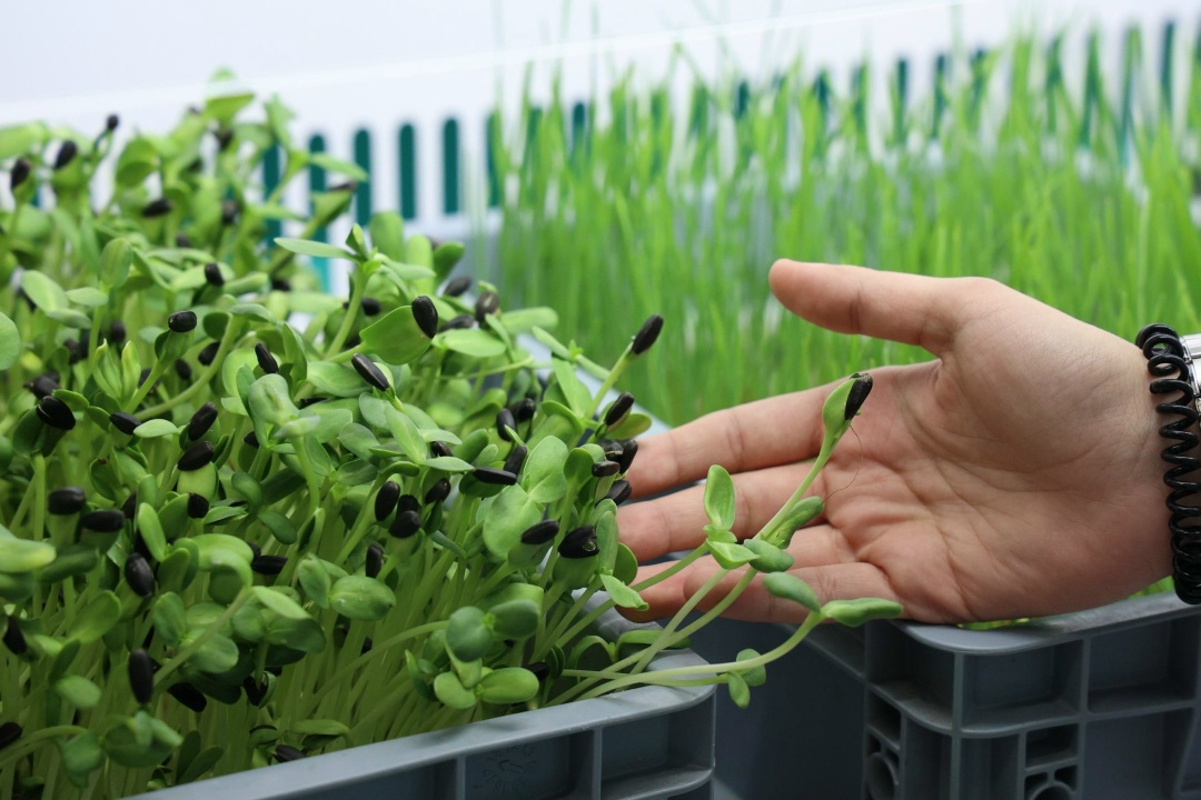 Оксана Лут ознакомилась с развитием аграрного образования в Ульяновской области