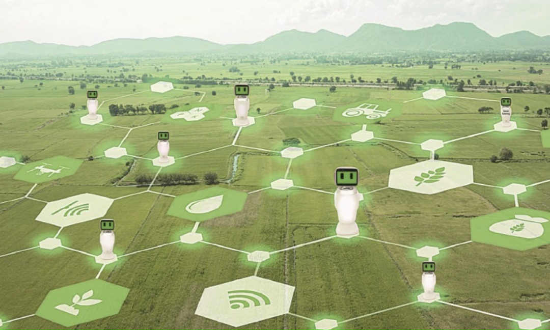 Минсельхоз совершенствует цифровые сервисы для АПК с учетом интересов аграриев