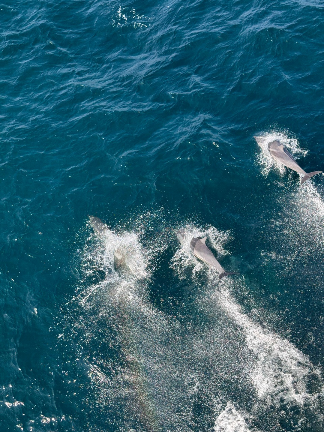 Путевой дневник матроса FESCO Как вы думаете каково это — встречать рассвет в Индии, а через несколько недель швартоваться в Петербурге