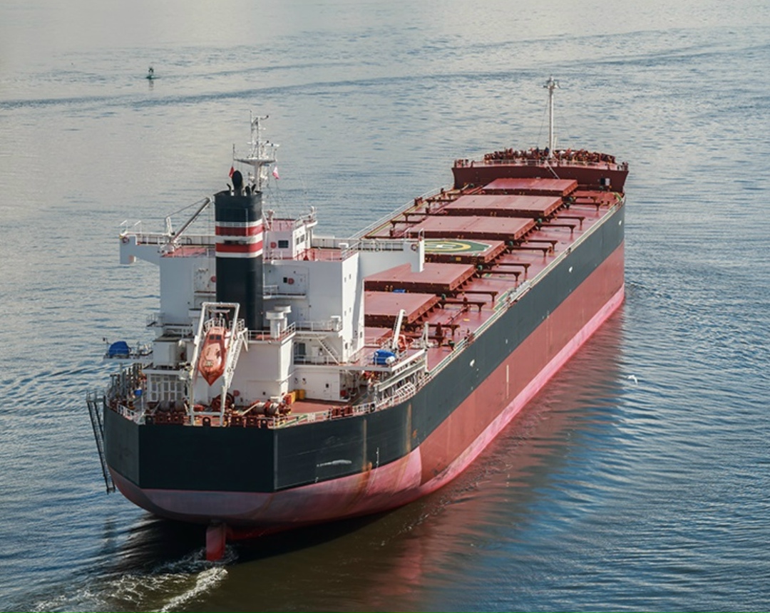 В прошлом году топ-10 регионов обеспечили 62,6% общероссийского экспорта продукции АПК в денежном выражении