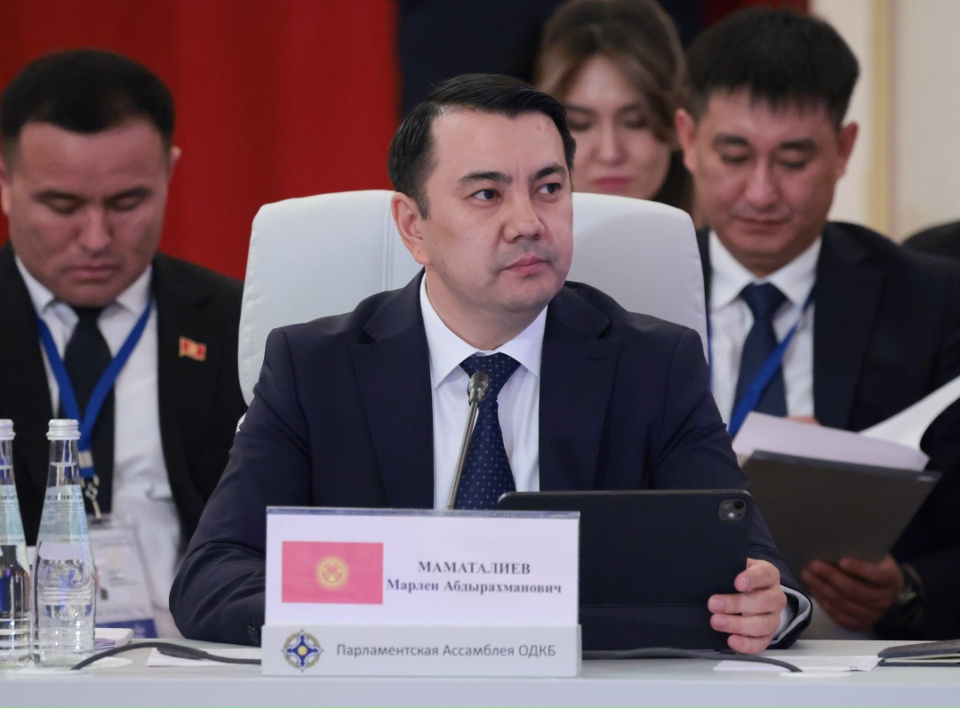 В Москве под председательством Вячеслава Володина прошло заседание Совета ПА ОДКБ.