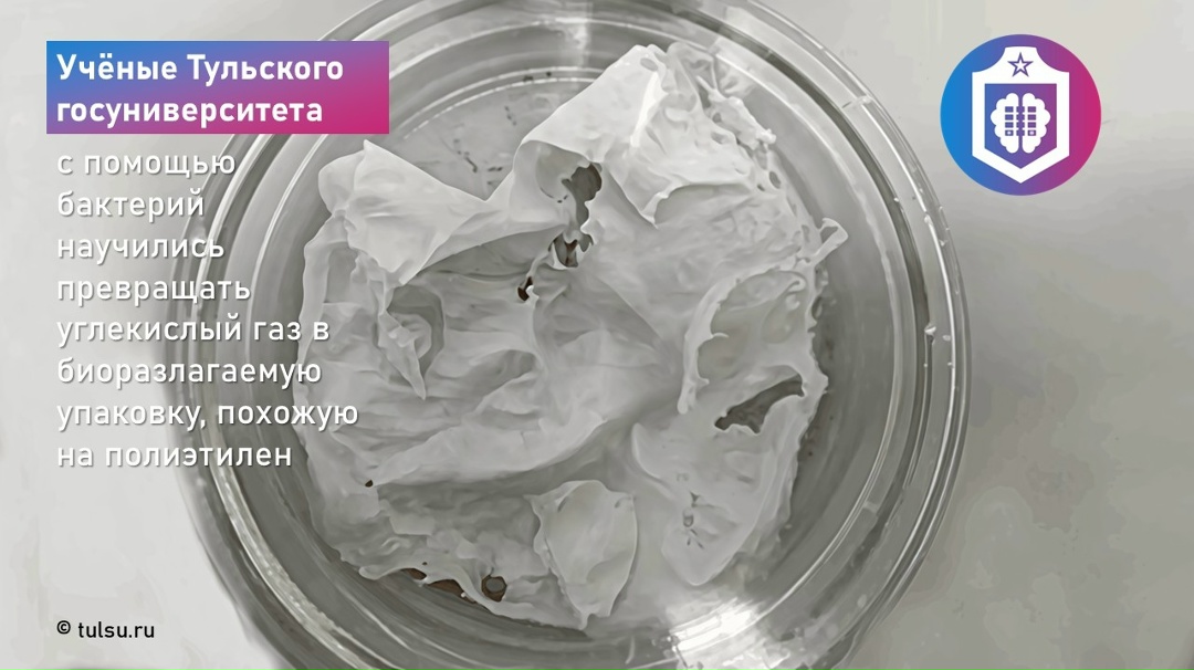 #Когнитивная_Витаминка Выпуск № 327 21.04.2026