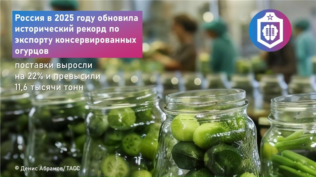 #Когнитивная_Витаминка Выпуск № 327 21.04.2026