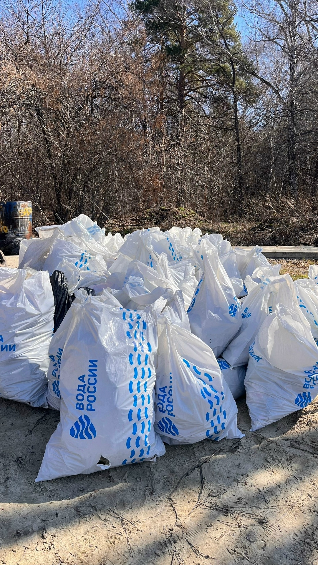 Сотрудники «НОВАТЭК-Челябинск» присоединились к масштабному субботнику на берегу Шершнёвского водохранилища