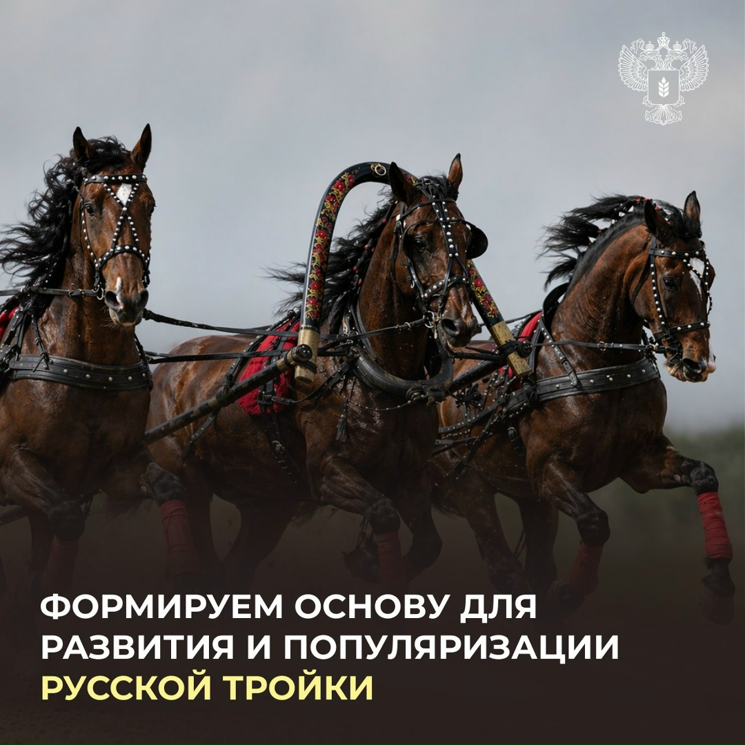 Возрождаем традицию русской тройки