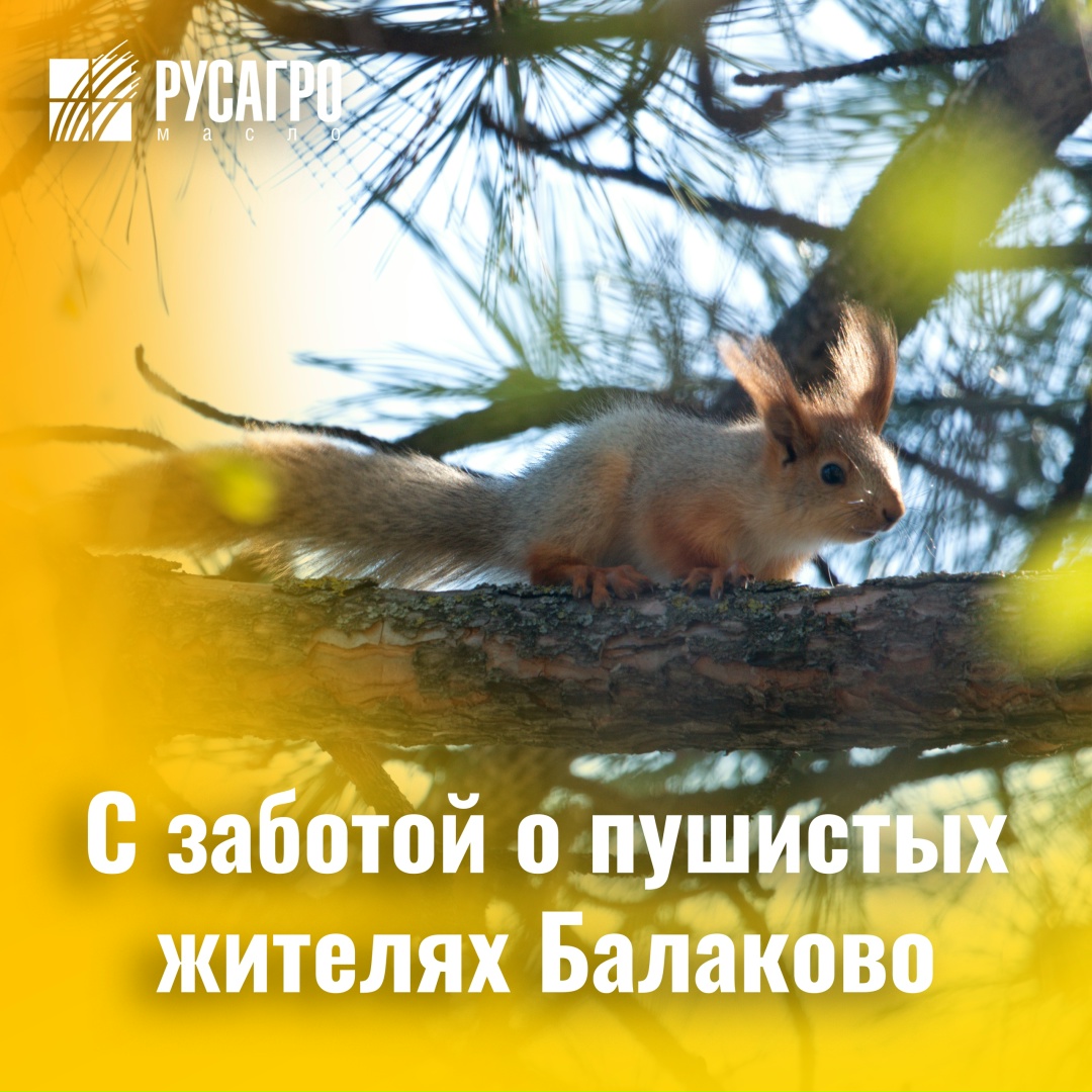 «Русагро Масло» в очередной раз поддержало акцию «Покорми белку» совместно с Балаковской АЭС