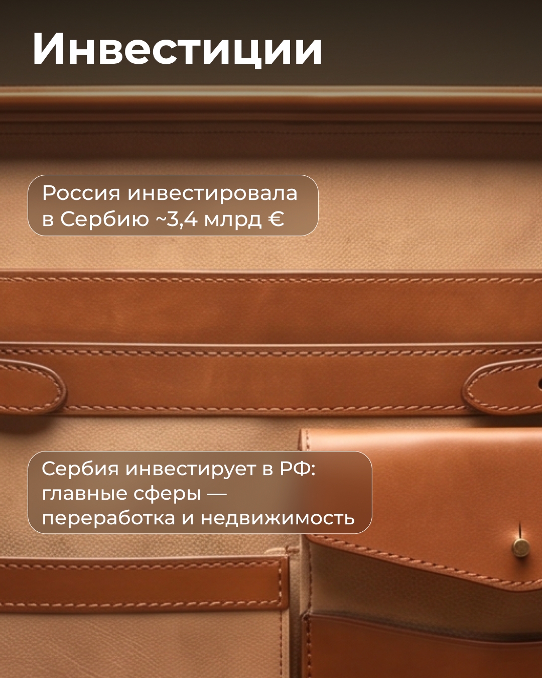 Россия — Сербия: собрали бизнес-портфель для предпринимателей с основными направлениями сотрудничества