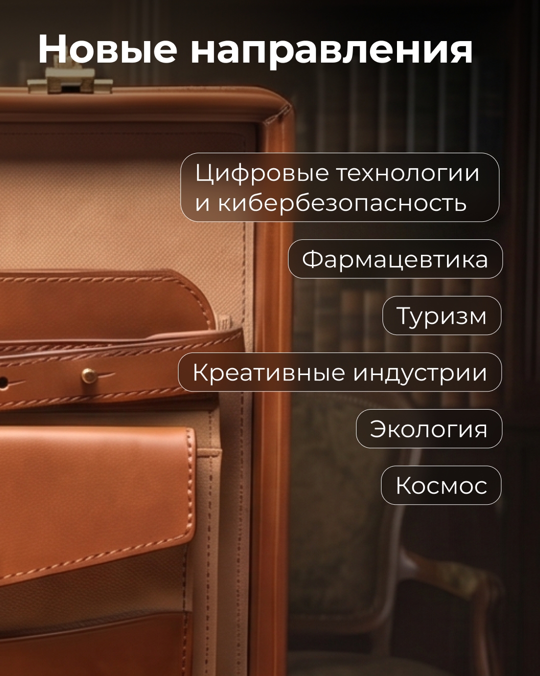 Россия — Сербия: собрали бизнес-портфель для предпринимателей с основными направлениями сотрудничества