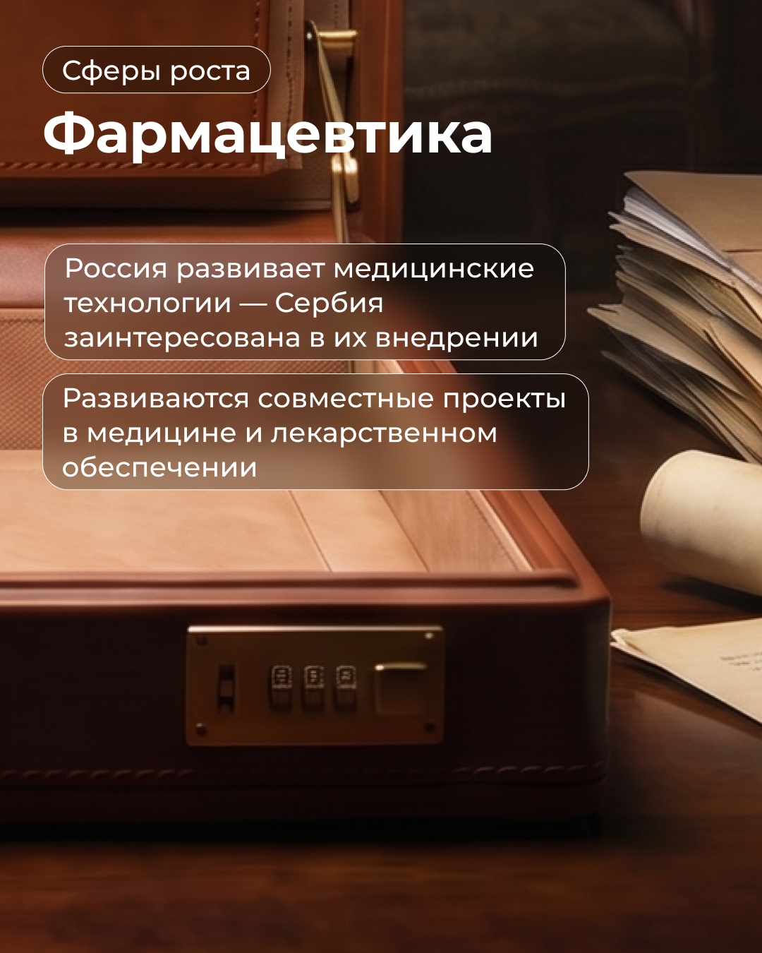 Россия — Сербия: собрали бизнес-портфель для предпринимателей с основными направлениями сотрудничества