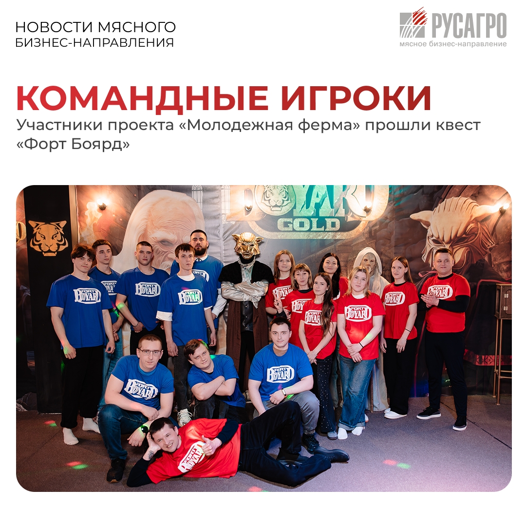 Игра, в которой проверяются силы настоящих команд