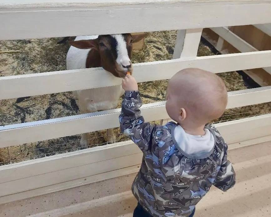 Семейная программа для большой страны