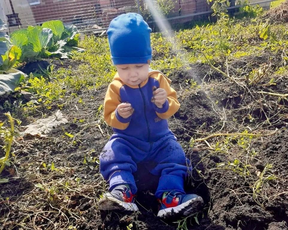 Семейная программа для большой страны