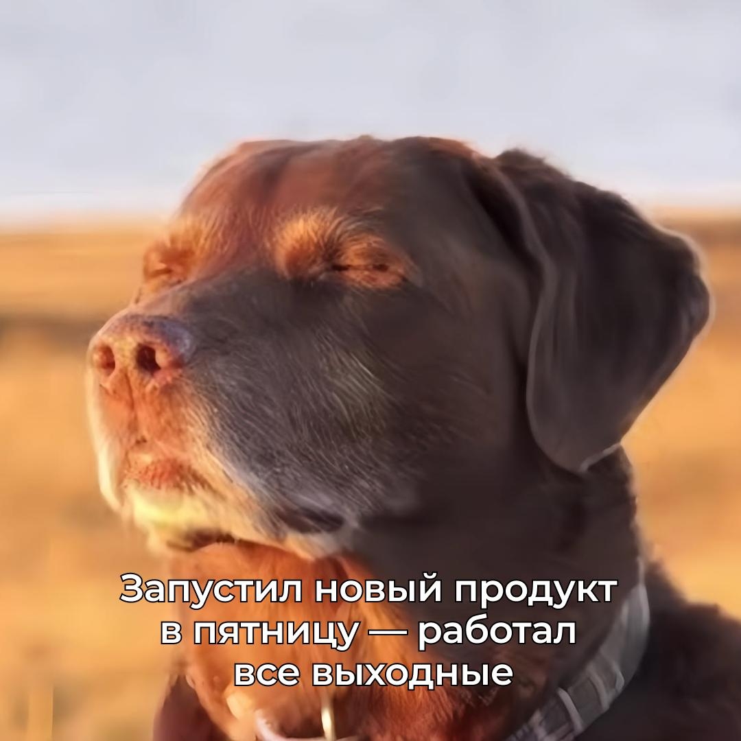 Ну что, предприниматели, узнали? Было?