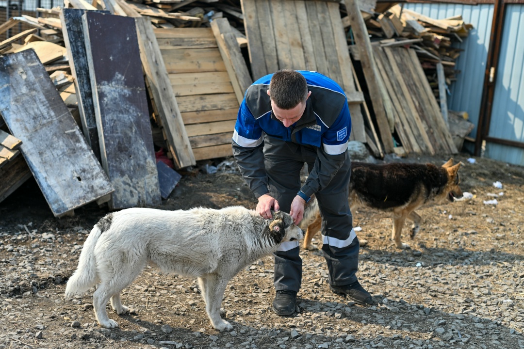НЕДЕЛЯ ДОБРА На Амурском ГПЗ впервые прошла «Неделя добра»: день — одно доброе дело!