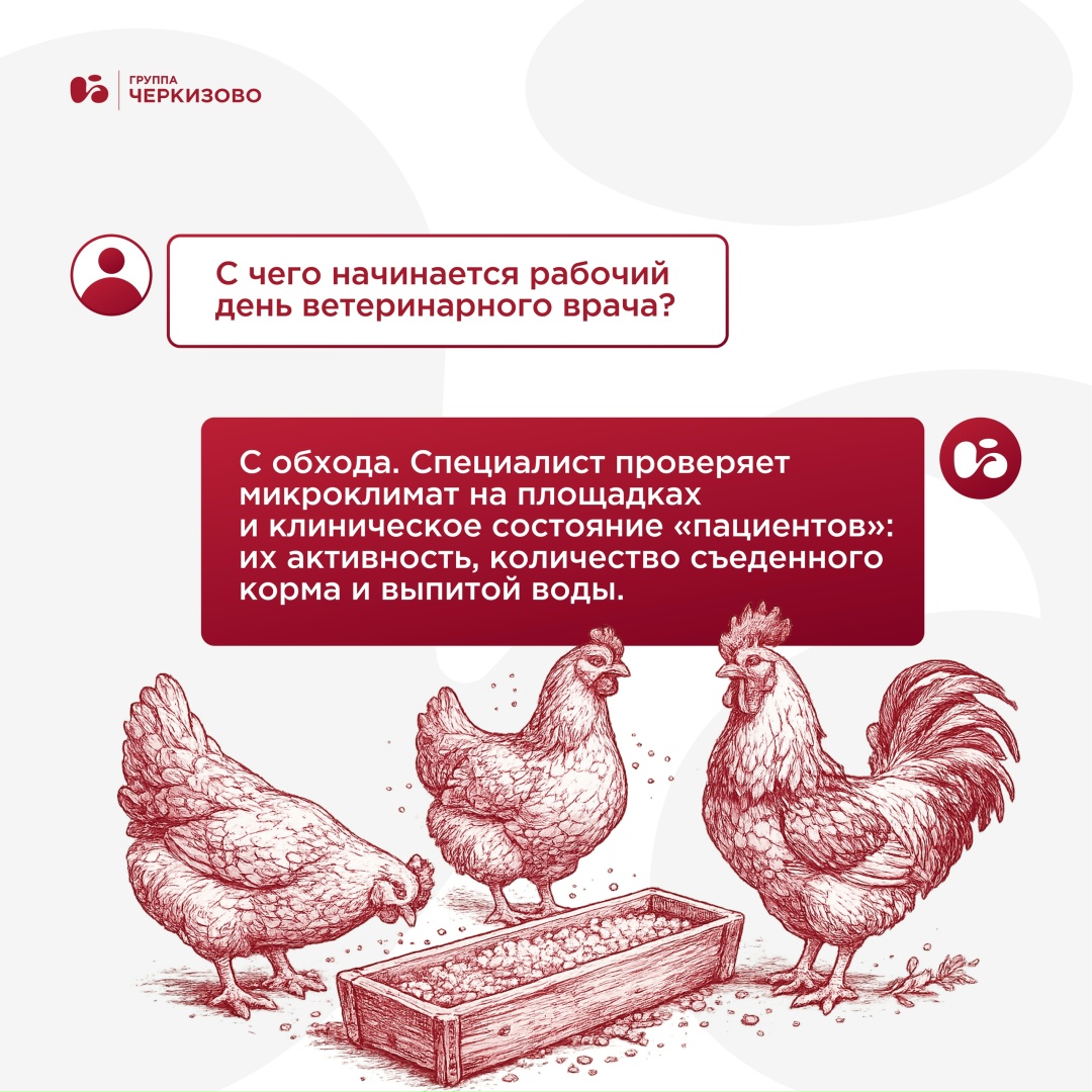 У ветеринарных врачей сегодня профессиональный праздник — и мы искренне поздравляем коллег