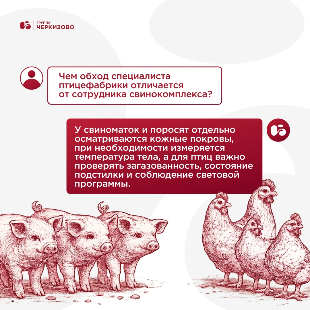 У ветеринарных врачей сегодня профессиональный праздник — и мы искренне поздравляем коллег