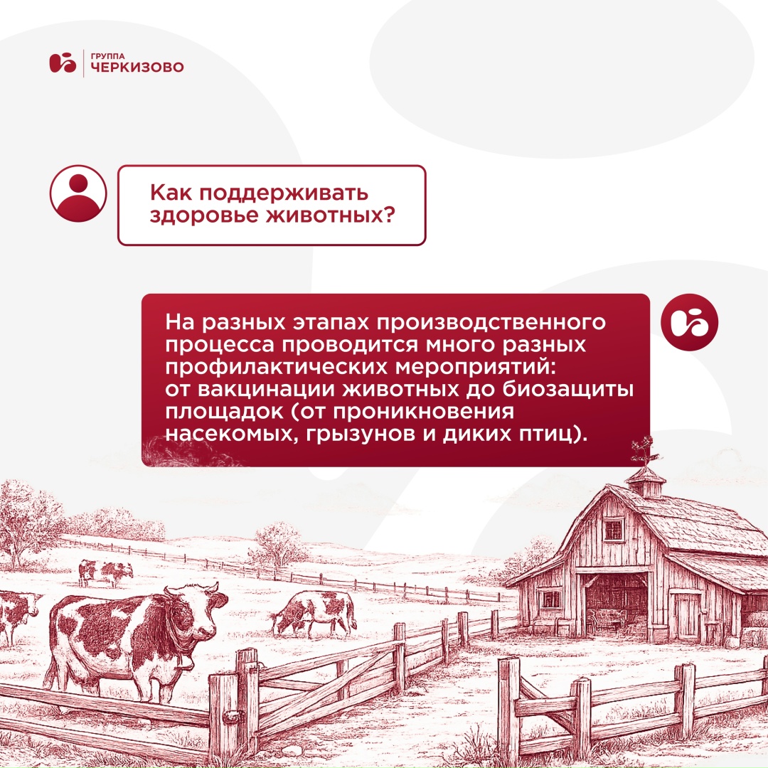 У ветеринарных врачей сегодня профессиональный праздник — и мы искренне поздравляем коллег