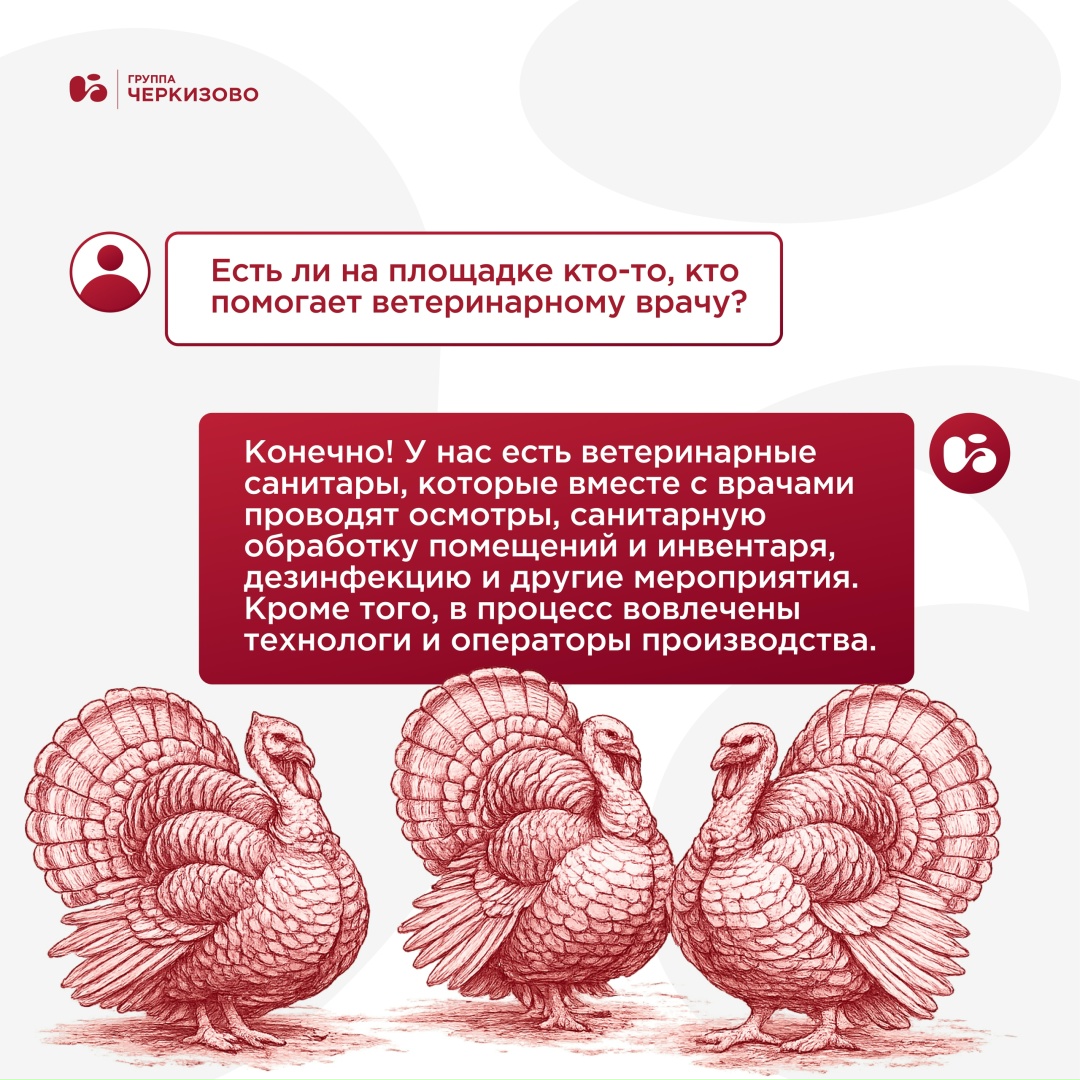 У ветеринарных врачей сегодня профессиональный праздник — и мы искренне поздравляем коллег