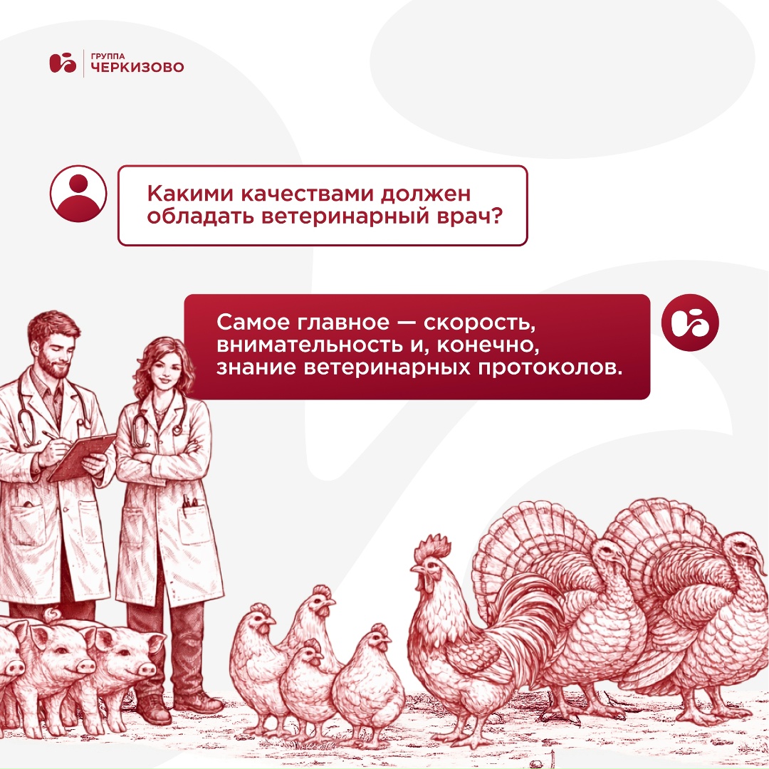 У ветеринарных врачей сегодня профессиональный праздник — и мы искренне поздравляем коллег