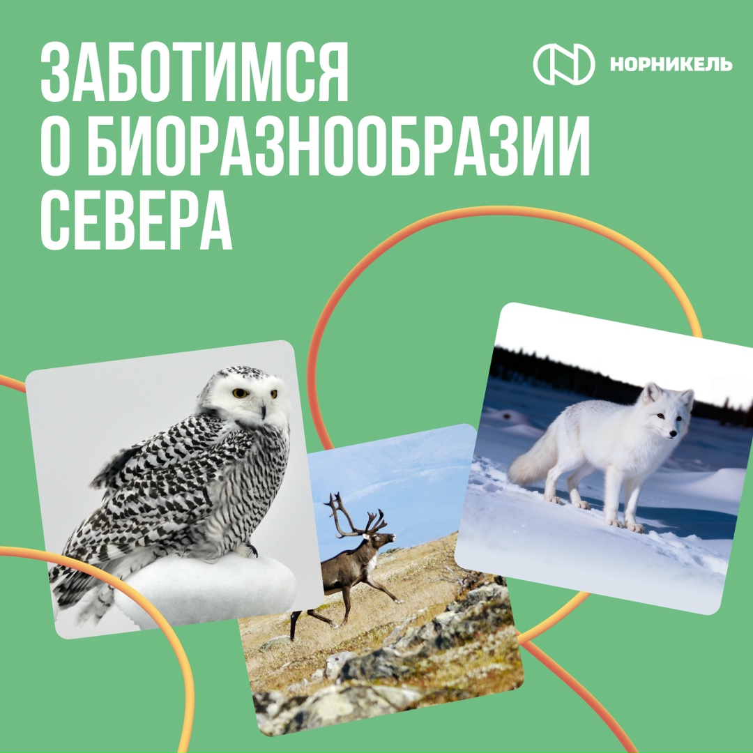 Поздравляем с Днем биолога всех, кто заботится о природе Севера