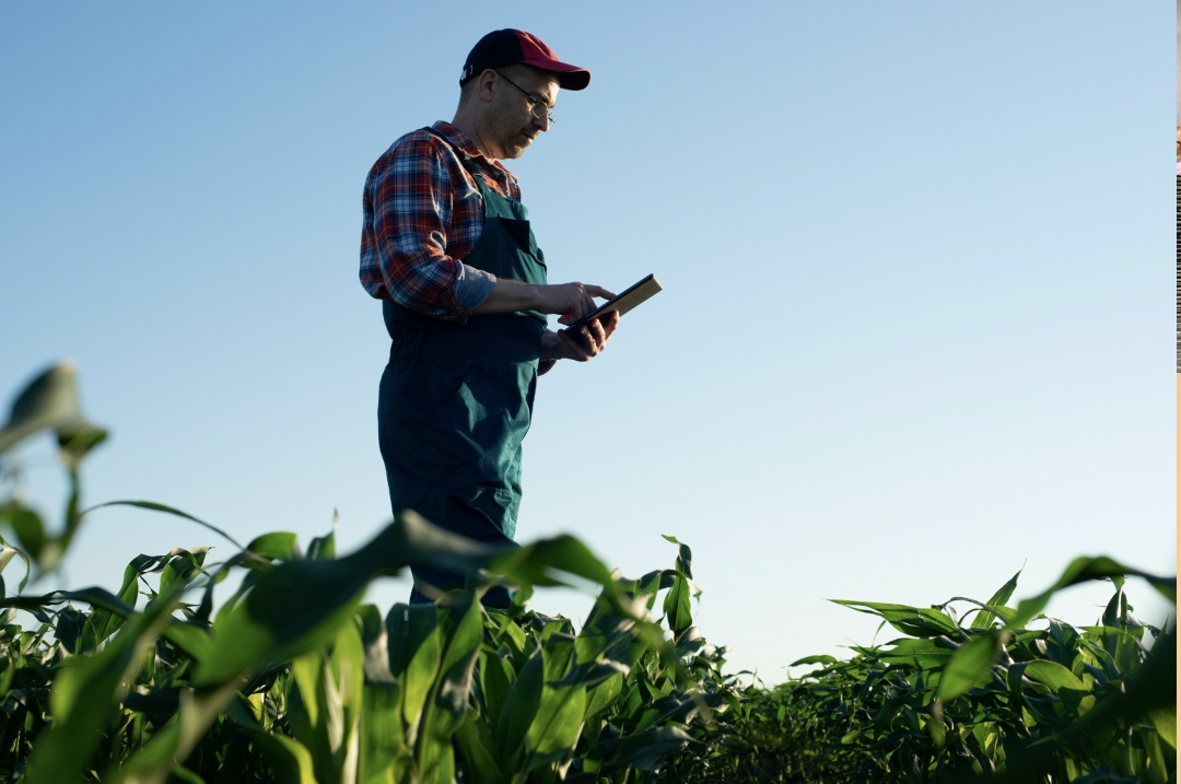 По данным Минсельхоза, в 2025 году в стране было открыто около 16 тыс. новых крестьянских фермерских хозяйств. Интерес к этому направлению деятельности…