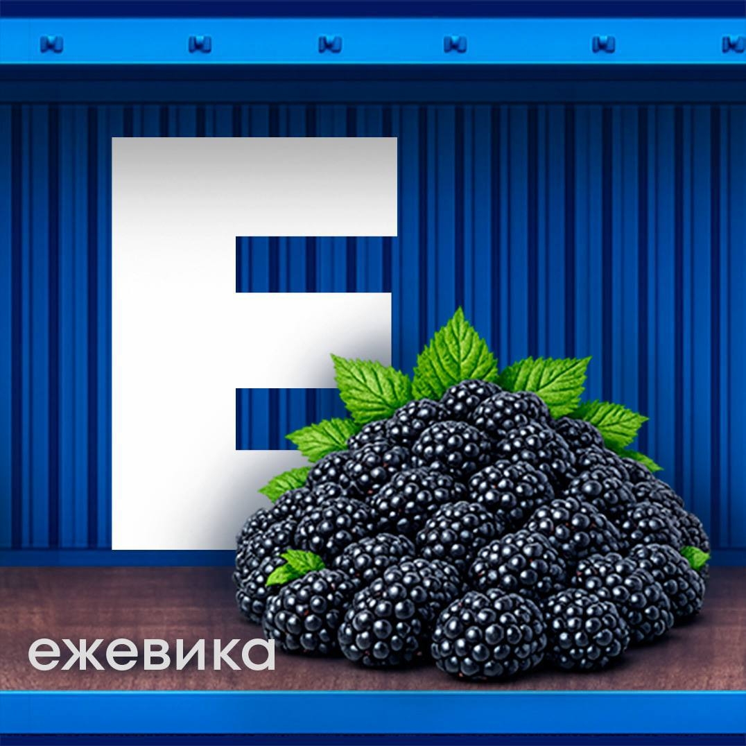 Идеальная тара Мы его ждали, готовились, и он настал — день рождения контейнеров