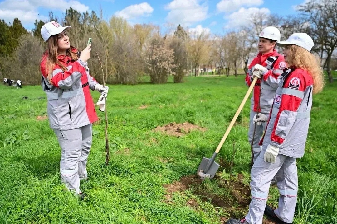 Город-сад К экопроекту «Создаём новый лес — 35 тысяч деревьев» подключились не только АЗС, но и промышленные предприятия Компании.