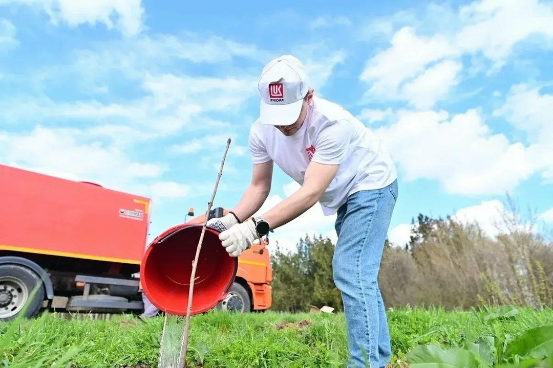 Город-сад К экопроекту «Создаём новый лес — 35 тысяч деревьев» подключились не только АЗС, но и промышленные предприятия Компании.