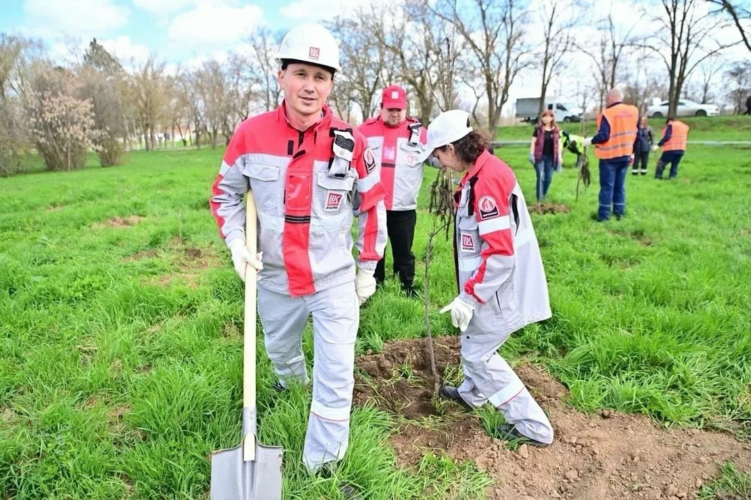 Город-сад К экопроекту «Создаём новый лес — 35 тысяч деревьев» подключились не только АЗС, но и промышленные предприятия Компании.