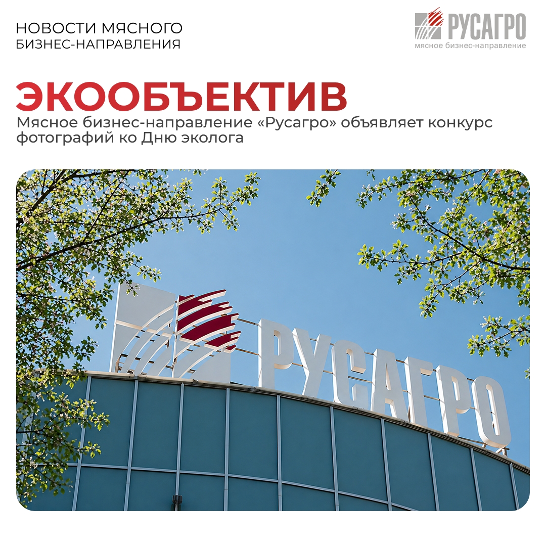 Иногда достаточно одного взгляда, чтобы увидеть больше. Больше смысла, больше красоты и больше ответственности за то, что нас окружает