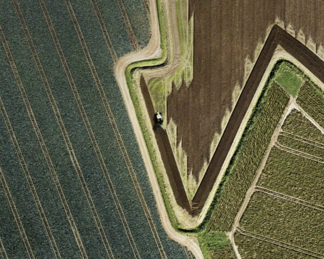 Компания «Родные поля» (бывший ТД «РИФ») обратилась в арбитражный суд Ростовской области с исковым заявлением к бывшему владельцу Петру Ходыкину, Нине…