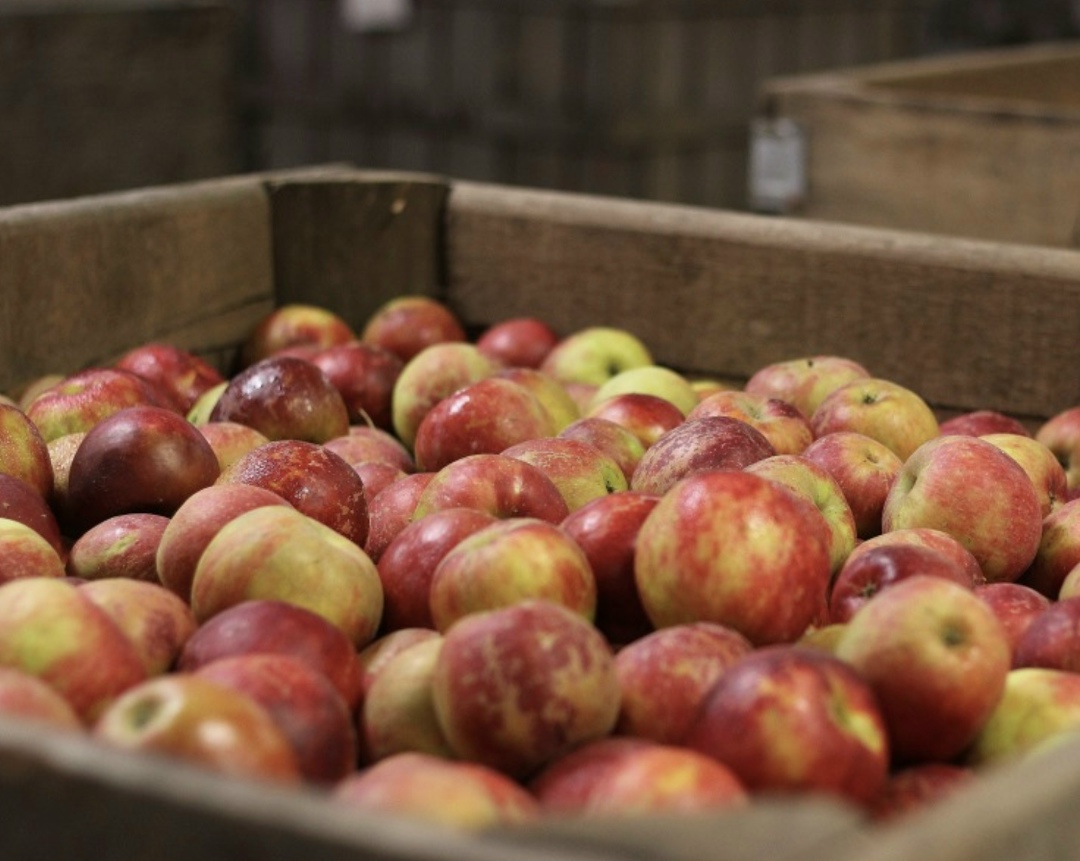 ВТБ сообщил, что открыл кредитную линию на 575 млн руб. сроком на семь лет для компании «Бахчисарайская Долина». Средства в рамках программы льготного…