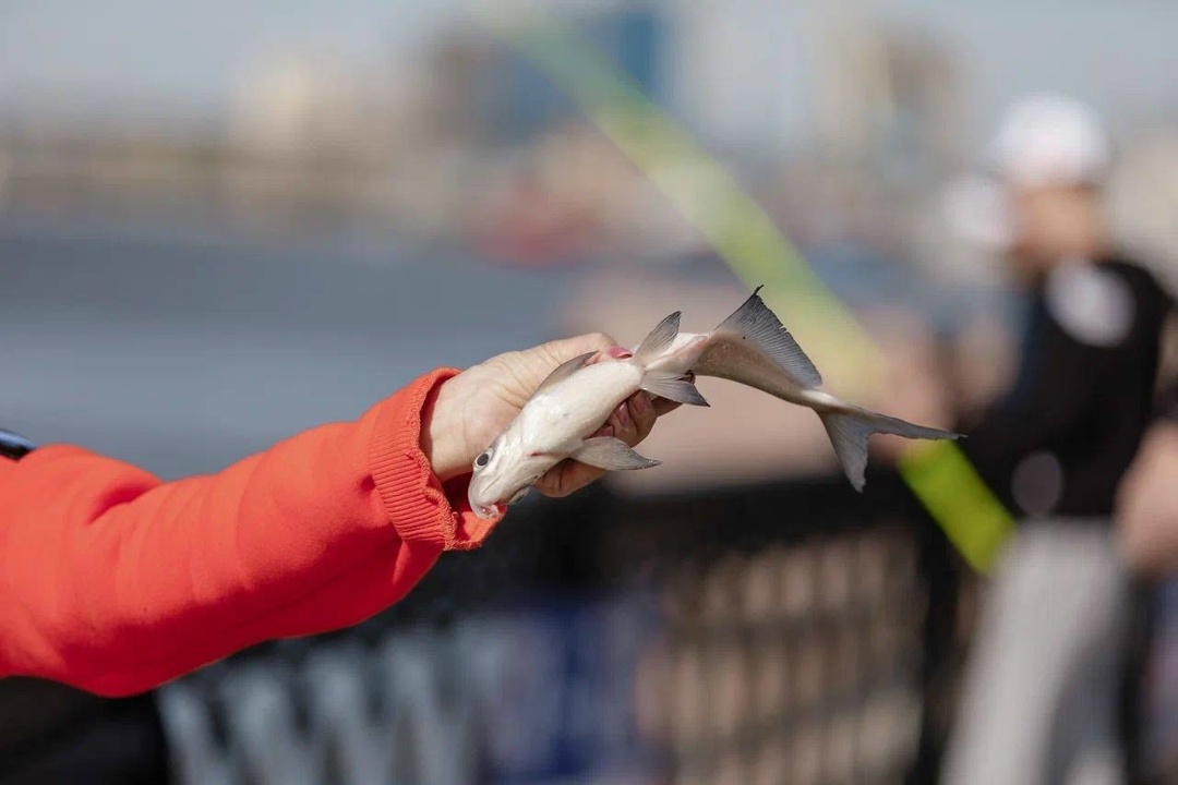 Экологичная рыбалка В Астрахани при поддержке ЛУКОЙЛа ежегодный фестиваль «Вобла» собрал 193 команды и более чем 600 рыбаков.
