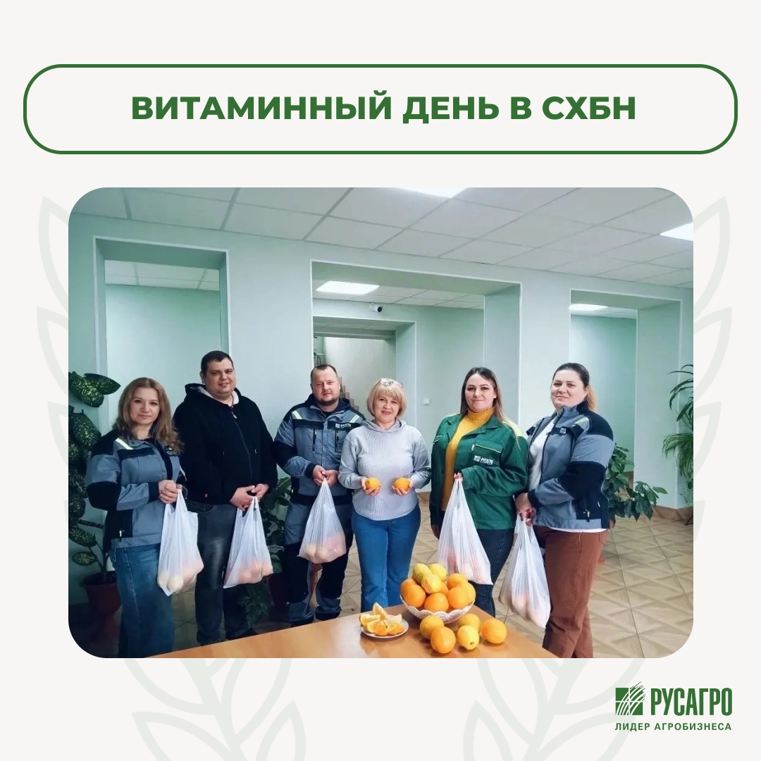 Если жизнь даёт тебе апельсины — значит в СХБН наступил витаминный день!