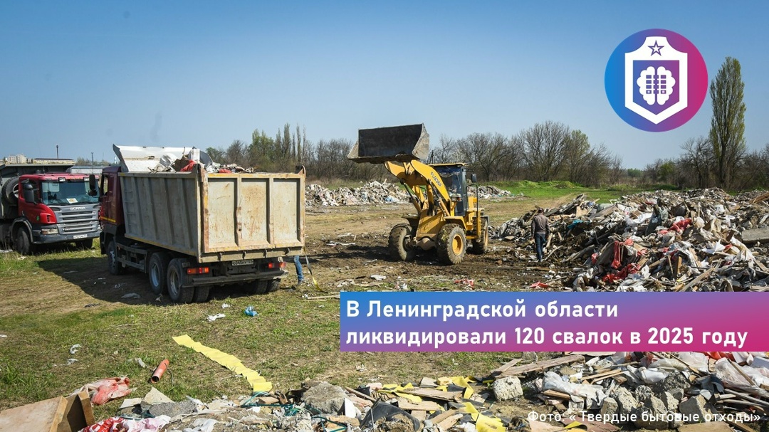 #Когнитивная_Витаминка Выпуск № 329 29.04.2026