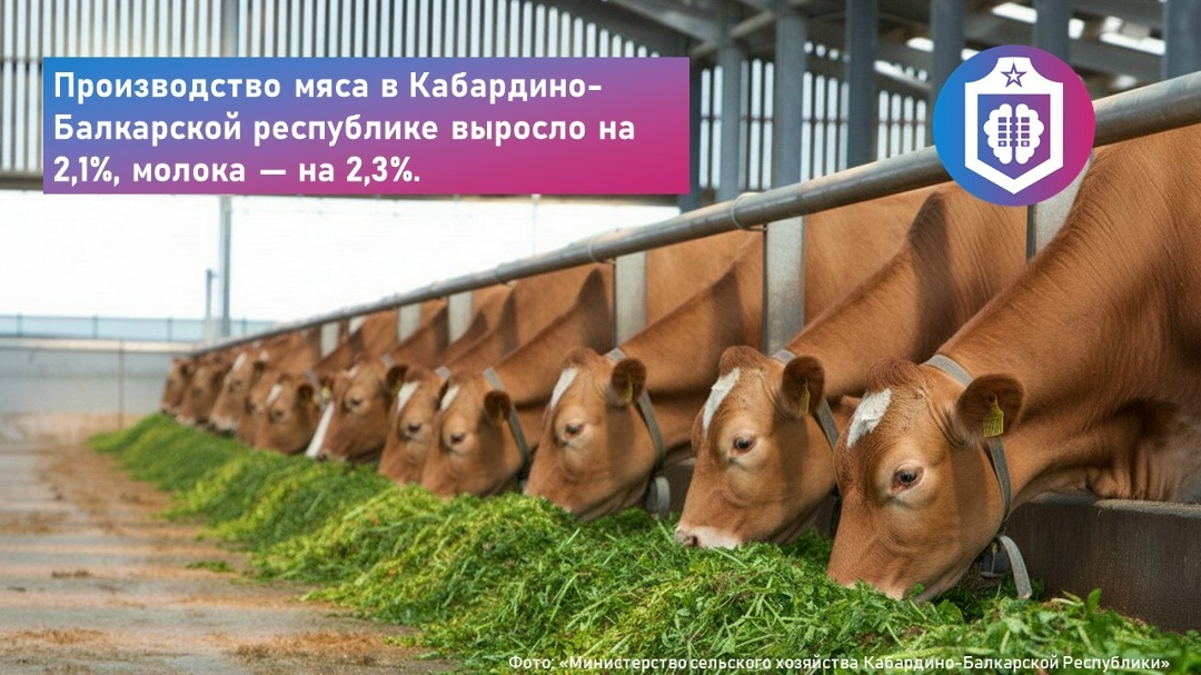 #Когнитивная_Витаминка Выпуск № 329 29.04.2026