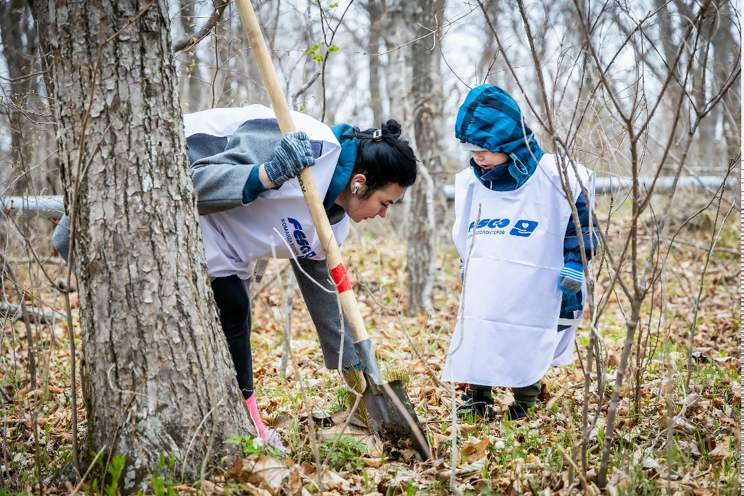+4000 деревьев во Владивостоке. В память о прошлом заботимся о будущем