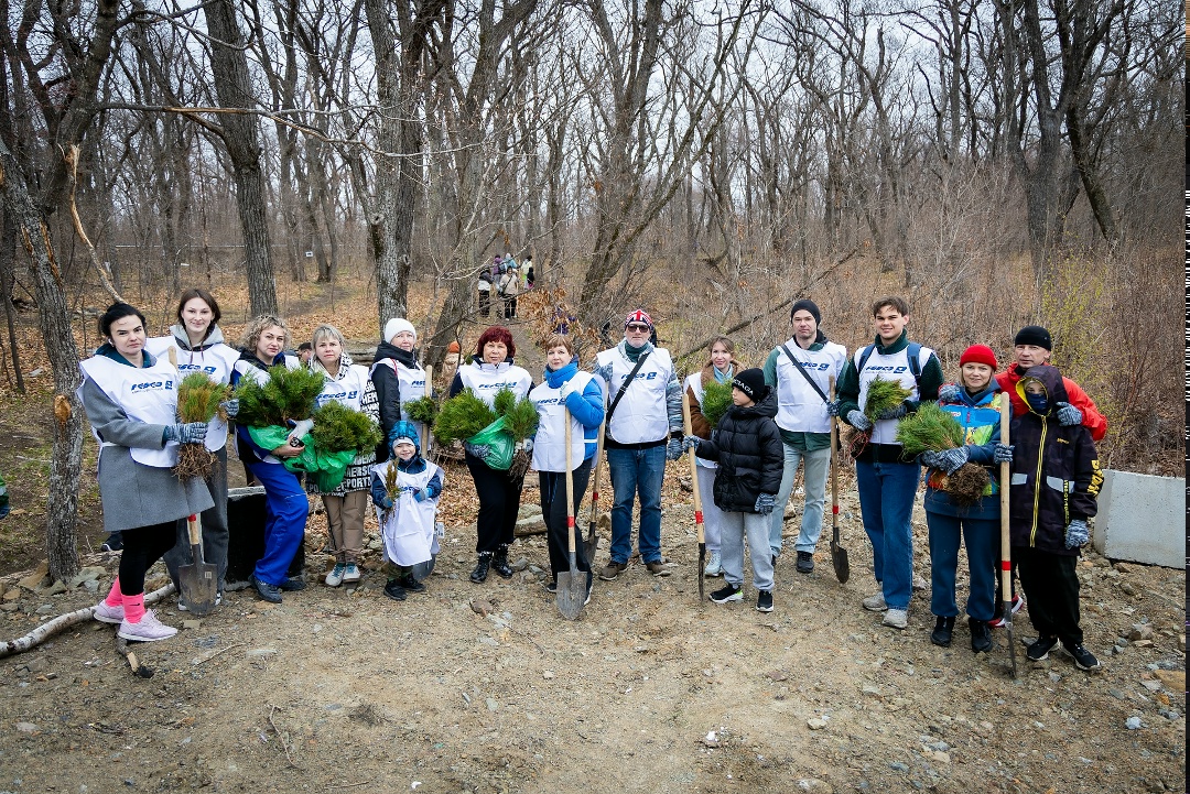 +4000 деревьев во Владивостоке. В память о прошлом заботимся о будущем