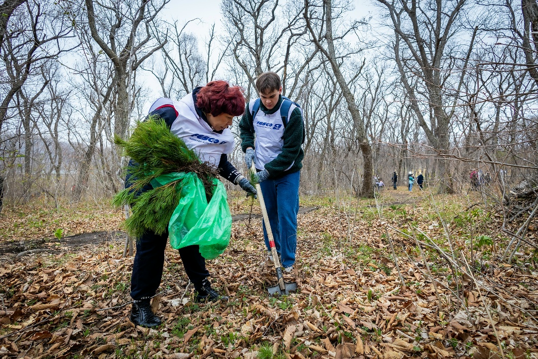 +4000 деревьев во Владивостоке. В память о прошлом заботимся о будущем