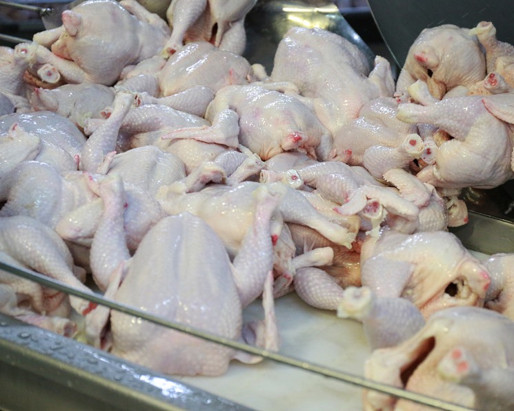 Объем производства продукции сельского хозяйства в первом квартале вырос на 0,2%, составив около 1,1 трлн руб. в действующих ценах. В том числе в марте все…