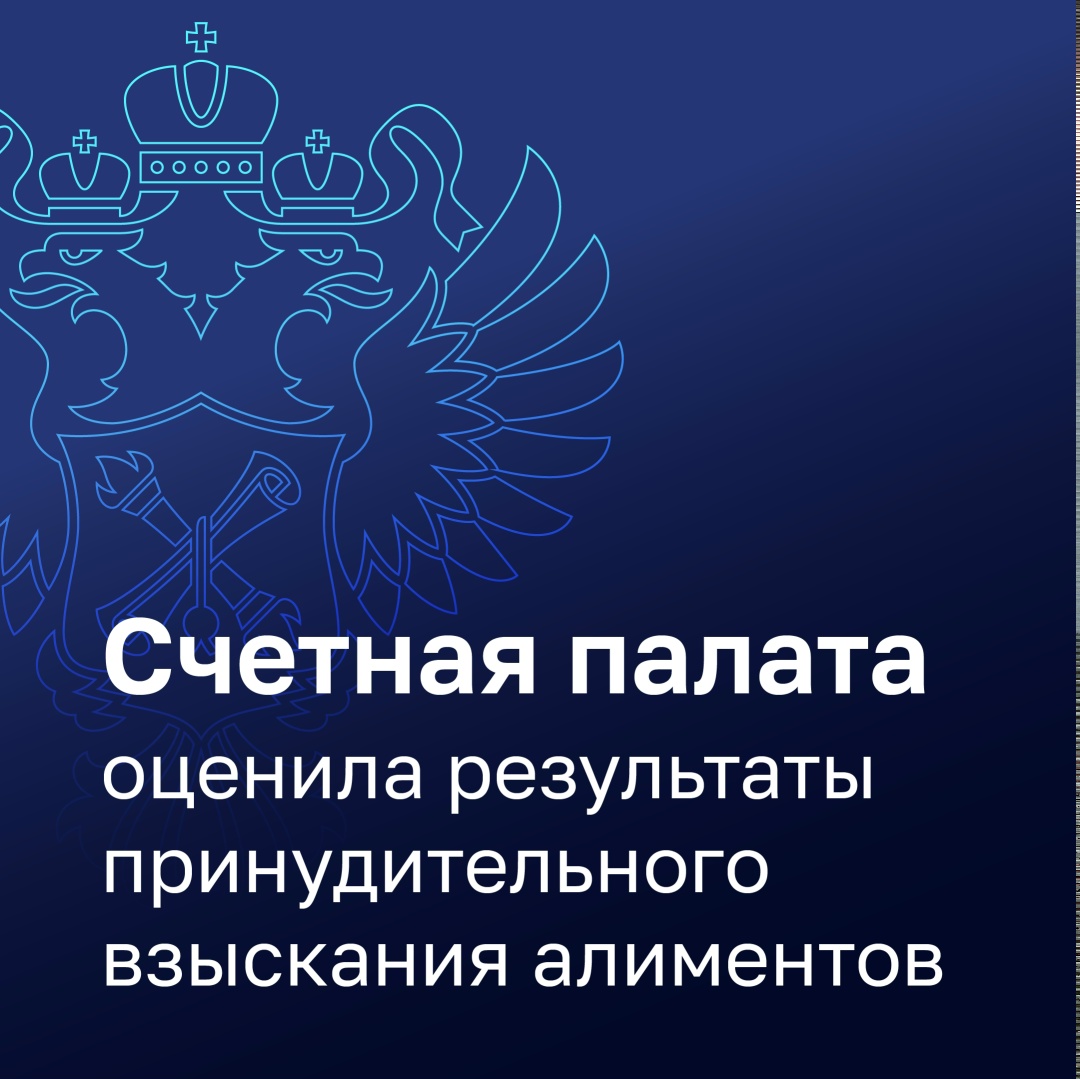 Счетная палата оценила результаты принудительного взыскания алиментов.