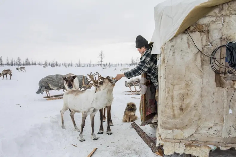 Как живут коренные народы Севера? Совмещают верность традициям с работой на благо развития своих регионов