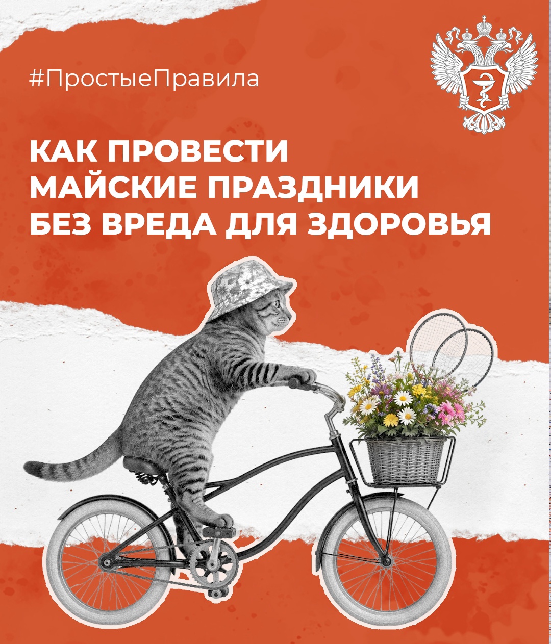 #ПростыеПравила: Как провести майские праздники без вреда для здоровья
